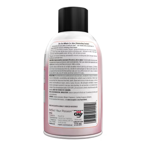 Meguiar's Fiji Sunset Whole Car Air ReFresher, G201502, 2oz